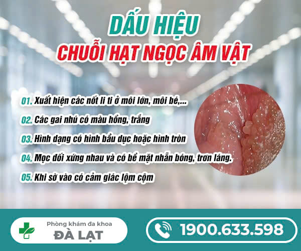 NGUYÊN NHÂN BỊ CHUỖI HẠT NGỌC DƯƠNG VẬT