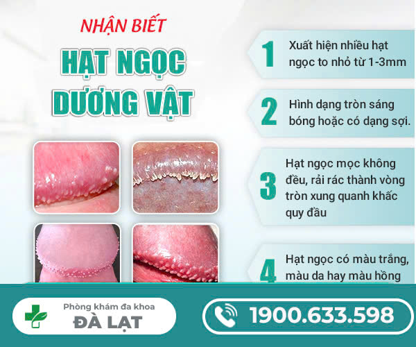 NHẬN DIỆN HÌNH ẢNH VỀ HẠT NGỌC Ở DƯƠNG VẬT