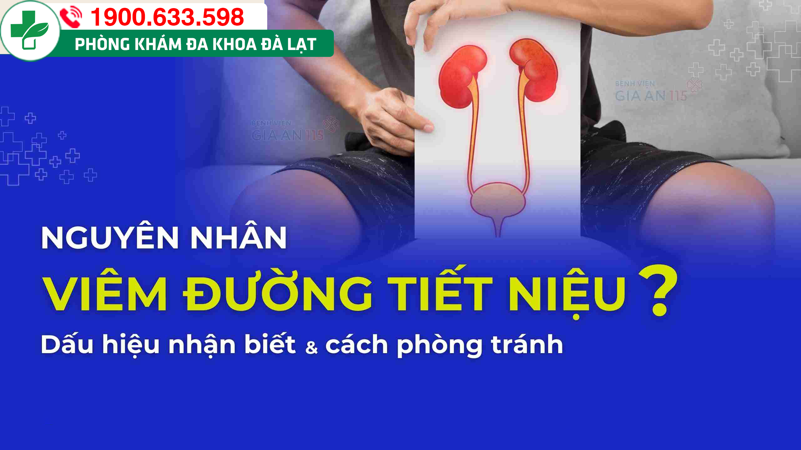 Nguyên nhân bị viêm đường tiết niệu có mủ là gì? Dấu hiệu nhận biết và cách điều trị
