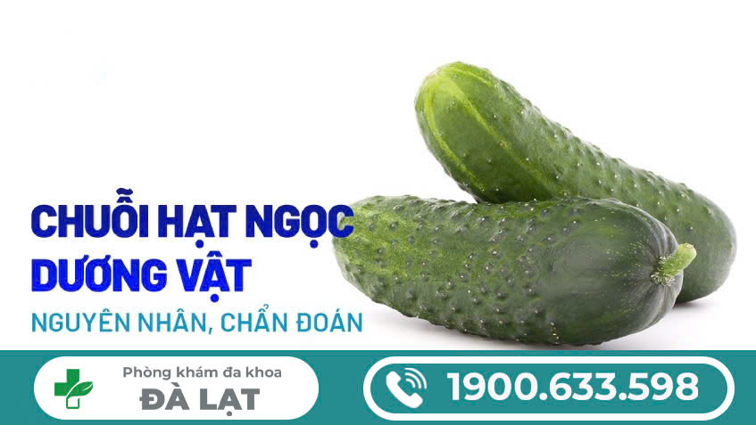 TỔNG QUAN VỀ BỆNH HẠT NGỌC DƯƠNG VẬT