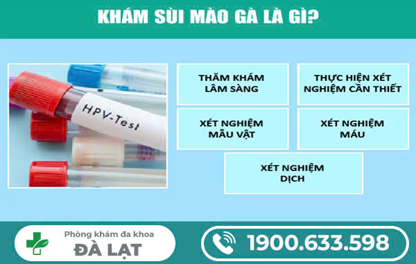 HPV SÙI MÀO GÀ LÀ GÌ? TOÀN BỘ KIẾN THỨC BẠN CẦN BIẾT