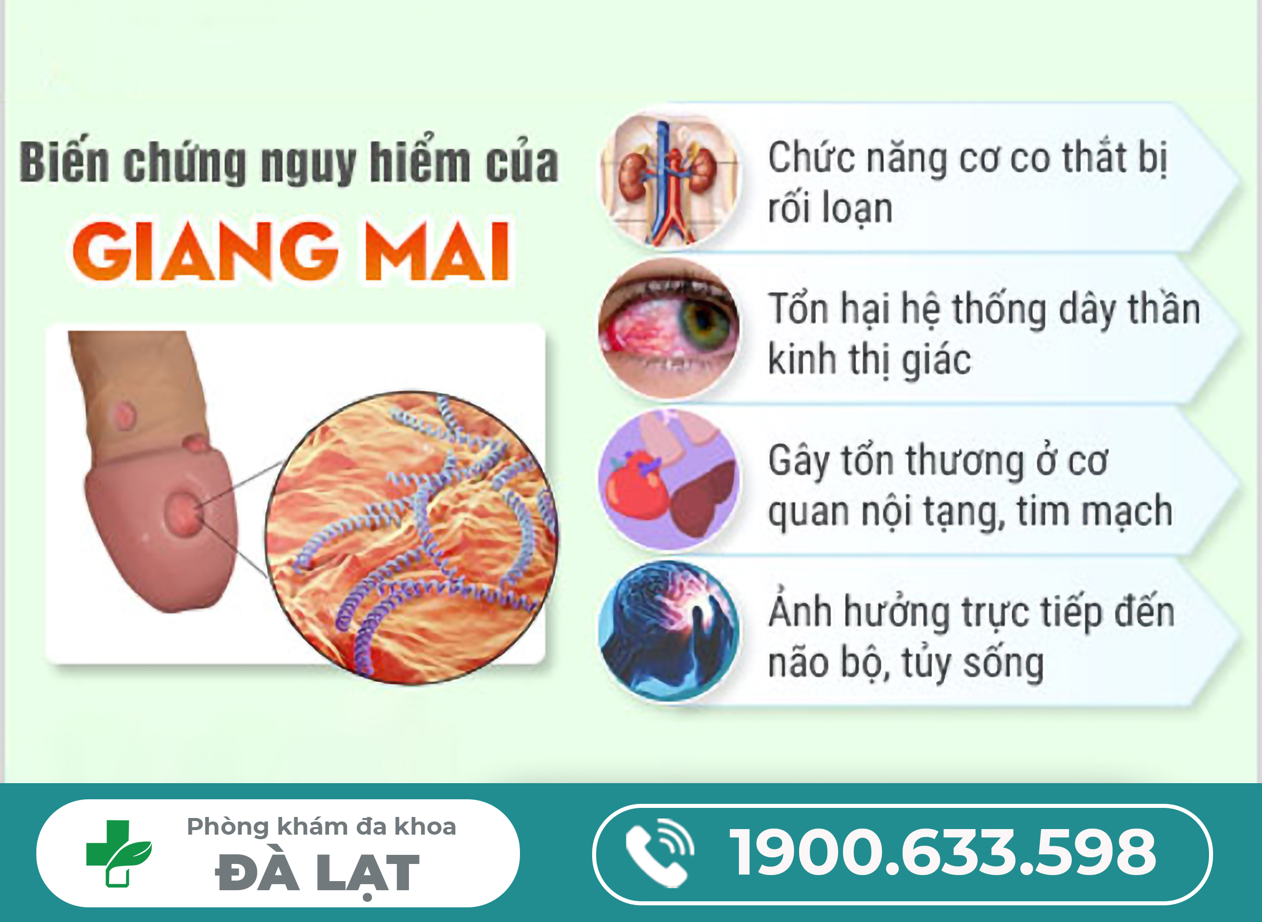 Tìm Hiểu Về Bệnh Giang Mai Ở Cả Nam Và Nữ 
