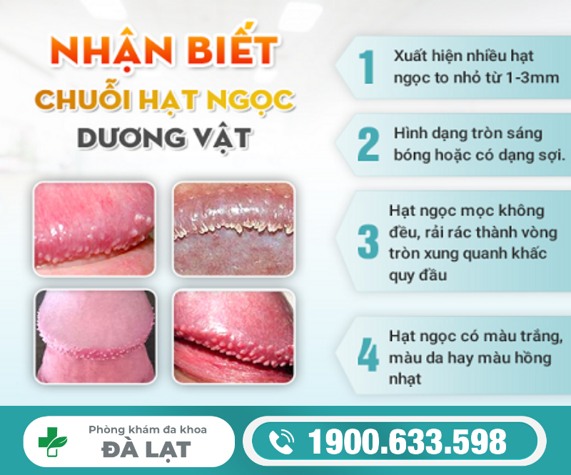 Tìm Hiểu: Bệnh Hạt Ngọc Dương Vật 