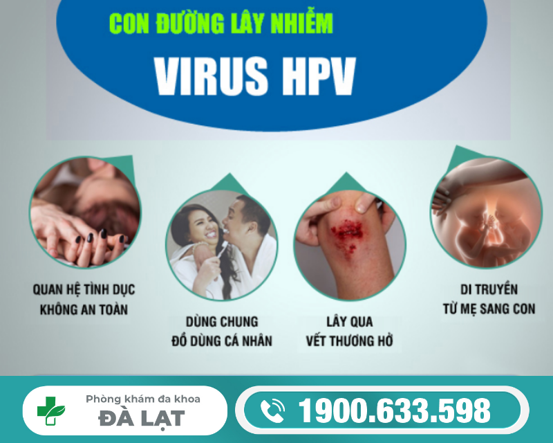 BÁC SĨ GIẢI ĐÁP: TẠI SAO BỊ NHIỄM VIRUS HPV?
