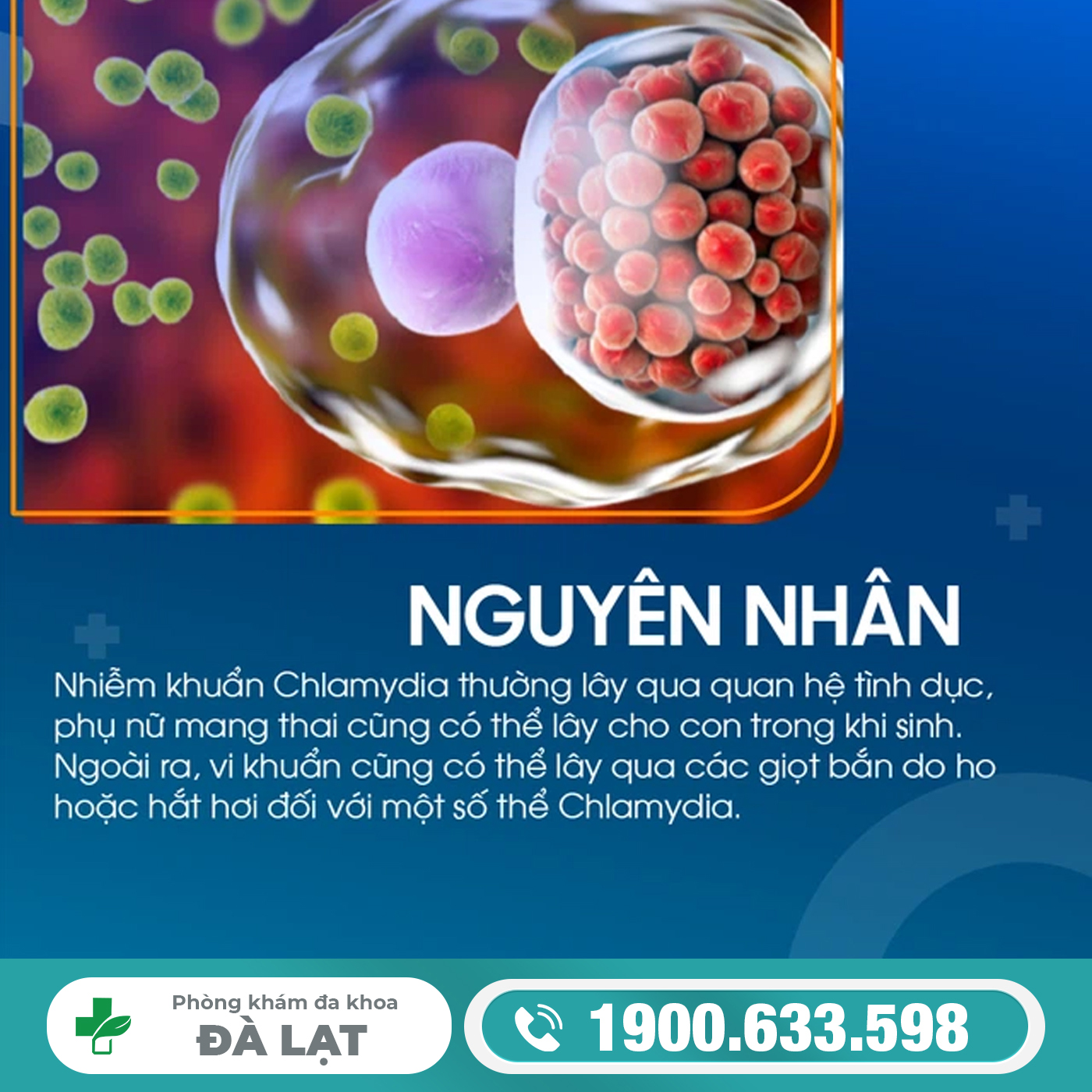 Nguyên Nhân Bị Nhiễm Chlamydia 