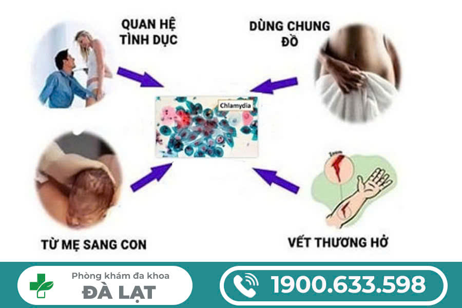 Chlamydia Lây Qua Đường Nào 